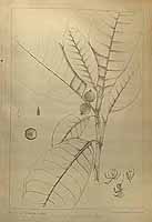  no thumbnail available