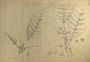  no thumbnail available