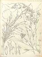  no thumbnail available