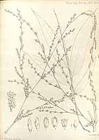  no thumbnail available