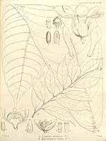  no thumbnail available