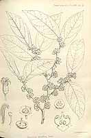  no thumbnail available