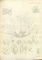  no thumbnail available