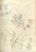  no thumbnail available