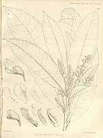  no thumbnail available