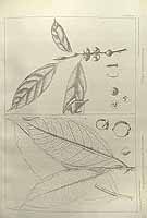  no thumbnail available