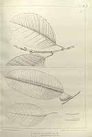  no thumbnail available