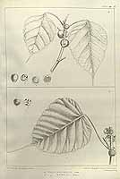  no thumbnail available