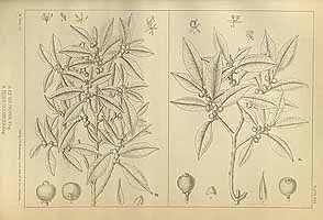  no thumbnail available