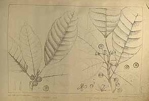  no thumbnail available