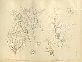  no thumbnail available