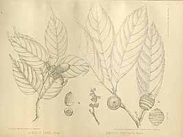  no thumbnail available