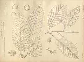  no thumbnail available