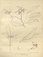  no thumbnail available