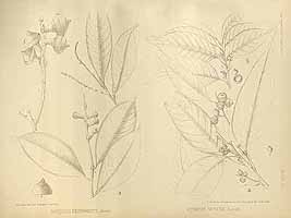  no thumbnail available