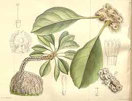  no thumbnail available