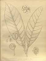  no thumbnail available