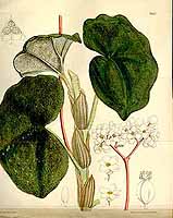  no thumbnail available