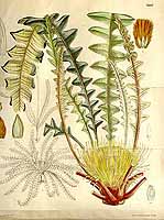  no thumbnail available