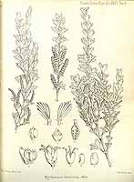  no thumbnail available