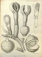  no thumbnail available