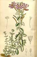  no thumbnail available