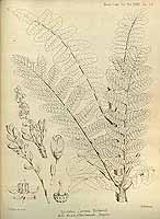  no thumbnail available