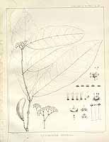  no thumbnail available