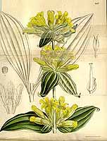  no thumbnail available