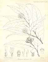  no thumbnail available