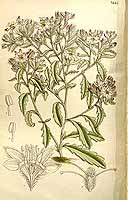  no thumbnail available