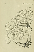  no thumbnail available