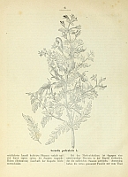  no thumbnail available