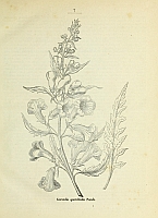  no thumbnail available