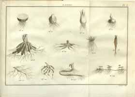  no thumbnail available