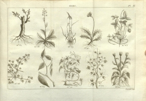  no thumbnail available