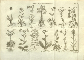  no thumbnail available