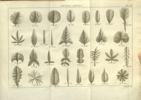  no thumbnail available