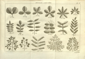  no thumbnail available