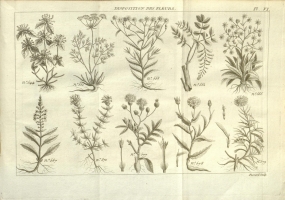  no thumbnail available