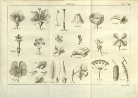  no thumbnail available