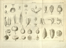  no thumbnail available