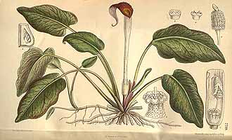  no thumbnail available