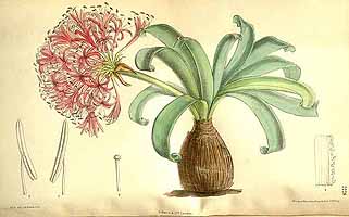  no thumbnail available