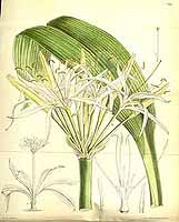  no thumbnail available