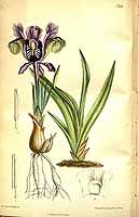  no thumbnail available