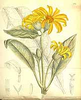  no thumbnail available