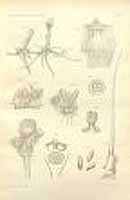  no thumbnail available