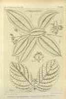  no thumbnail available