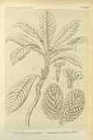  no thumbnail available